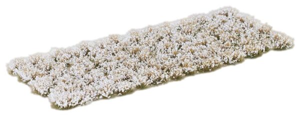 Blütenbüschel  weiss