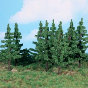 10 Fichten 12 cm