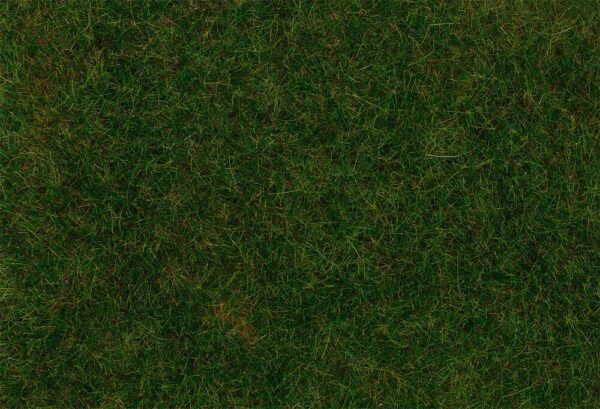 PREMIUM Streufasern  Gras  dunkelgrün  6 mm  30 g