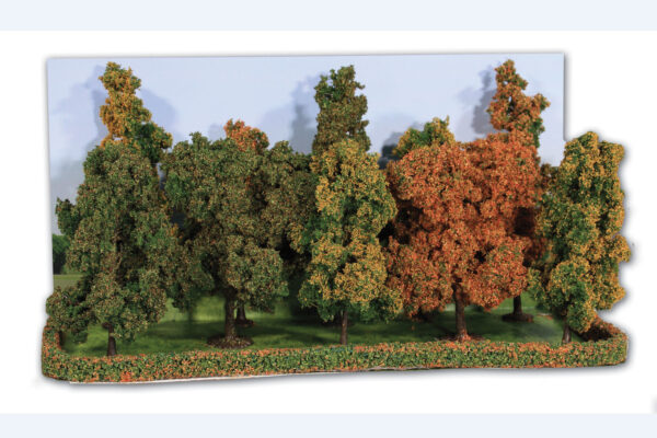 Herbstwald, 10 Bäume 10-14 cm