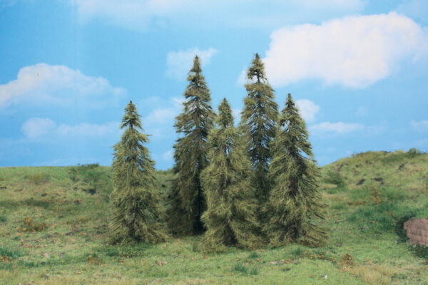5 Lärchen 14-18 cm