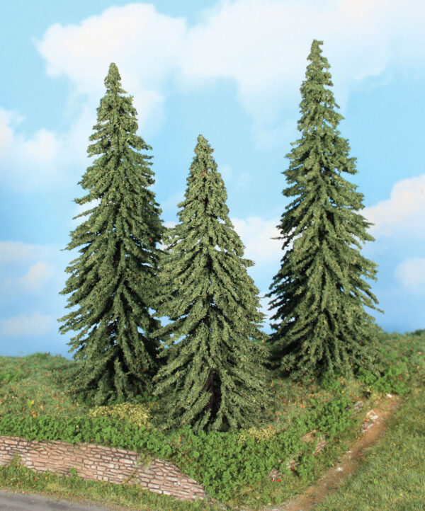3 Wetterfichten 18-22 cm